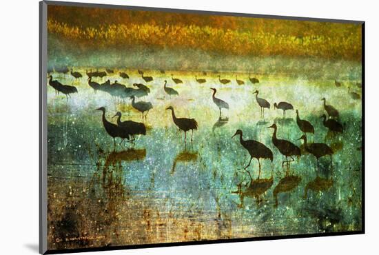 Cranes in Mist I-Chris Vest-Mounted Art Print