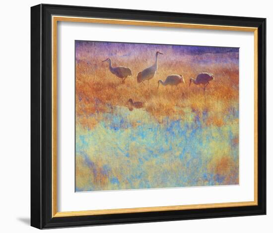 Cranes in Soft Mist-Chris Vest-Framed Art Print