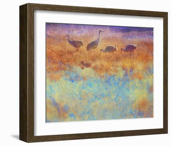 Cranes in Soft Mist-Chris Vest-Framed Art Print