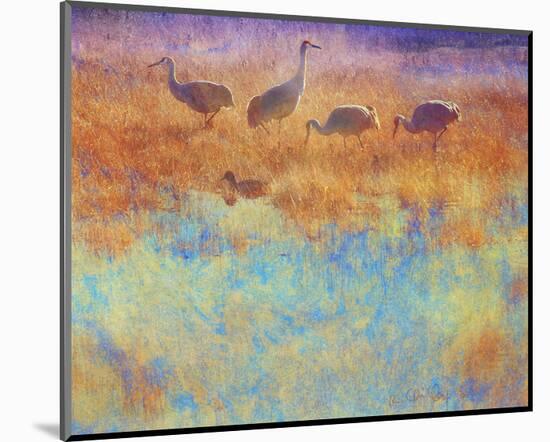 Cranes in Soft Mist-Chris Vest-Mounted Art Print