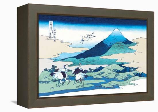 Cranes Nearby Mount Fuji-Katsushika Hokusai-Framed Stretched Canvas