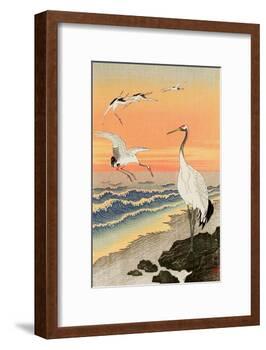 Cranes on Seashore-Koson Ohara-Framed Giclee Print