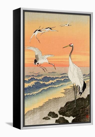 Cranes on Seashore-Koson Ohara-Framed Premier Image Canvas