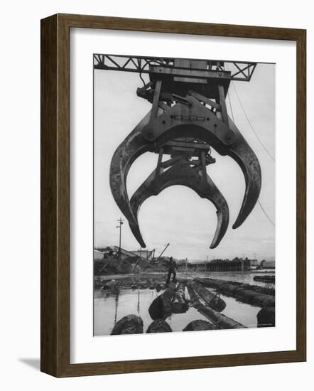 Cranes Scooping Logs from River at Crown Zellerbach Lumber Mill-J^ R^ Eyerman-Framed Photographic Print