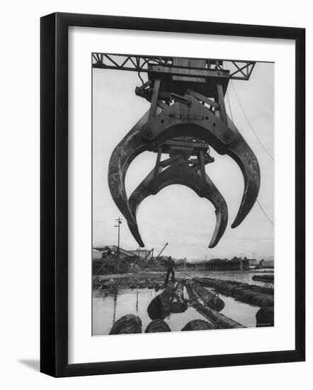 Cranes Scooping Logs from River at Crown Zellerbach Lumber Mill-J^ R^ Eyerman-Framed Photographic Print