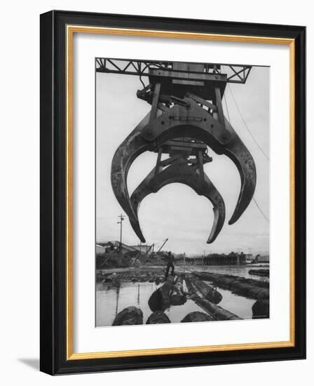 Cranes Scooping Logs from River at Crown Zellerbach Lumber Mill-J^ R^ Eyerman-Framed Photographic Print