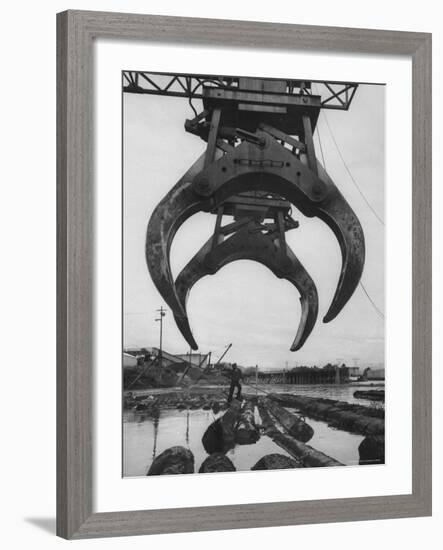 Cranes Scooping Logs from River at Crown Zellerbach Lumber Mill-J^ R^ Eyerman-Framed Photographic Print