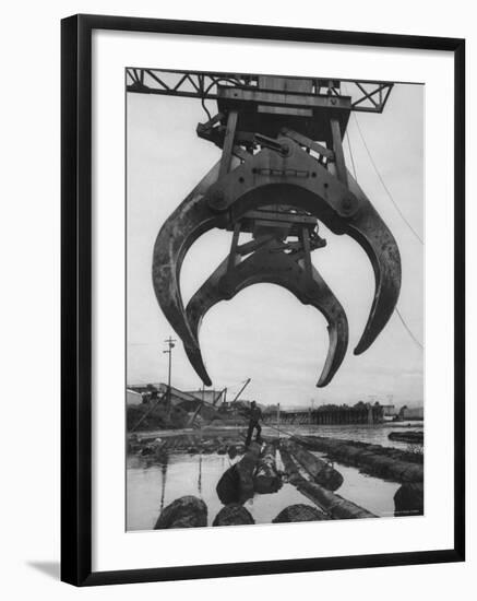 Cranes Scooping Logs from River at Crown Zellerbach Lumber Mill-J^ R^ Eyerman-Framed Photographic Print