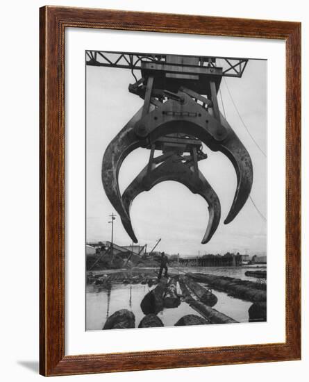 Cranes Scooping Logs from River at Crown Zellerbach Lumber Mill-J^ R^ Eyerman-Framed Photographic Print