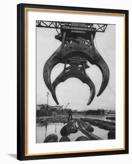 Cranes Scooping Logs from River at Crown Zellerbach Lumber Mill-J^ R^ Eyerman-Framed Photographic Print