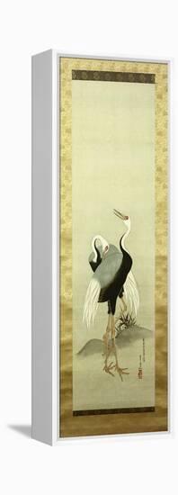 Cranes-Suzuki Kiitsu-Framed Premier Image Canvas