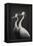 Cranes-Treechild-Framed Premier Image Canvas