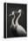 Cranes-Treechild-Framed Premier Image Canvas
