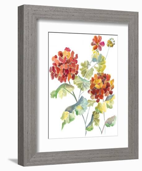 Cranesbills I-Chariklia Zarris-Framed Premium Giclee Print