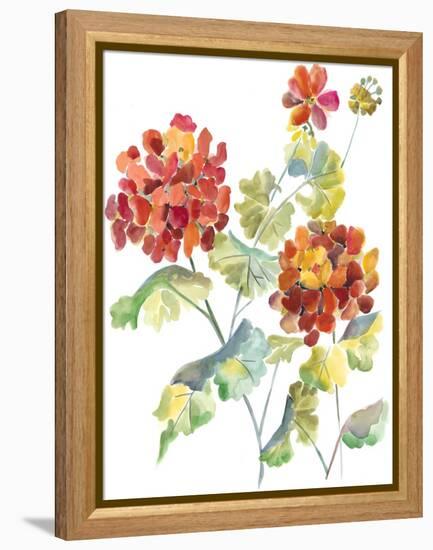 Cranesbills I-Chariklia Zarris-Framed Stretched Canvas