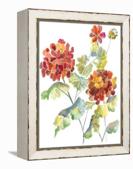 Cranesbills I-Chariklia Zarris-Framed Stretched Canvas