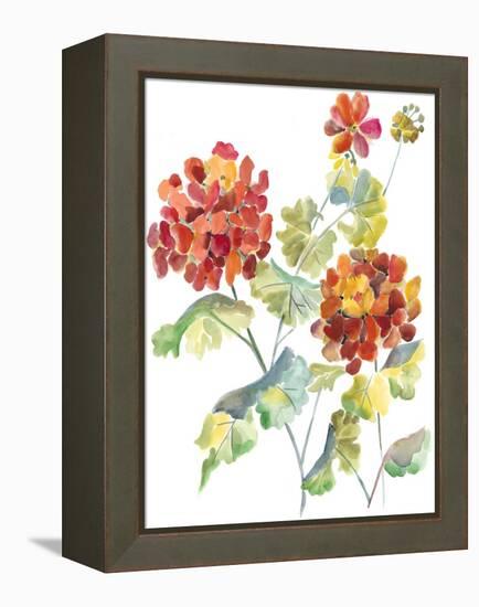 Cranesbills I-Chariklia Zarris-Framed Stretched Canvas