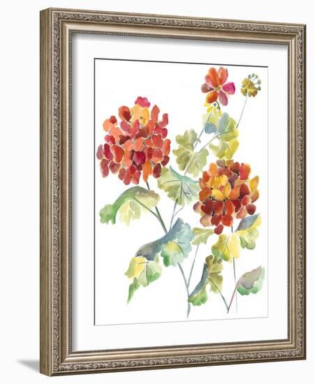 Cranesbills I-Chariklia Zarris-Framed Art Print