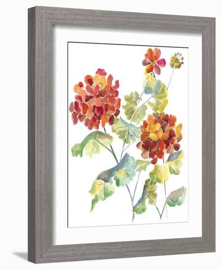 Cranesbills I-Chariklia Zarris-Framed Art Print