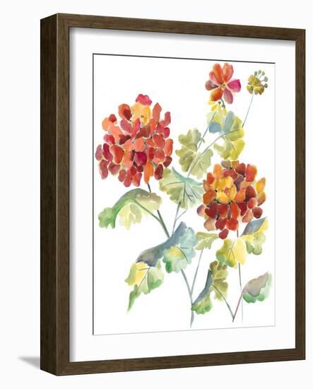 Cranesbills I-Chariklia Zarris-Framed Art Print