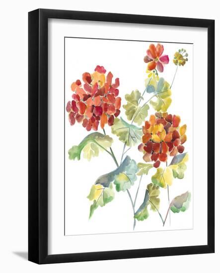 Cranesbills I-Chariklia Zarris-Framed Art Print