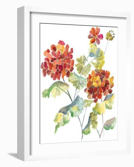 Cranesbills I-Chariklia Zarris-Framed Art Print