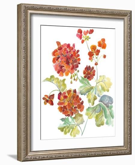 Cranesbills II-Chariklia Zarris-Framed Art Print