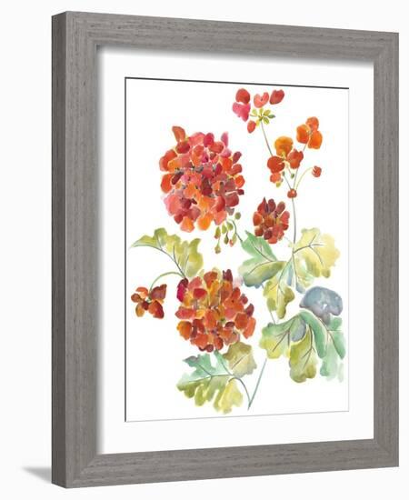 Cranesbills II-Chariklia Zarris-Framed Art Print