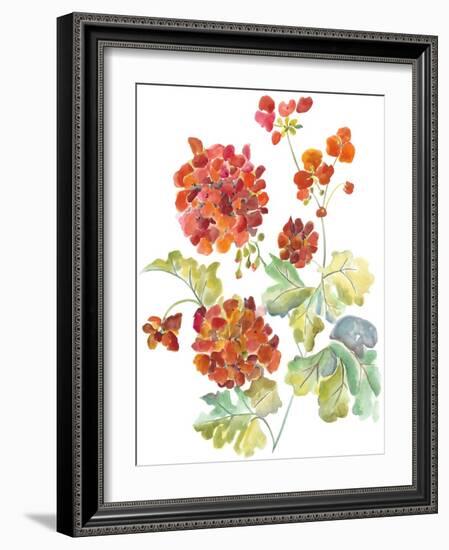 Cranesbills II-Chariklia Zarris-Framed Art Print