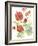 Cranesbills II-Chariklia Zarris-Framed Art Print