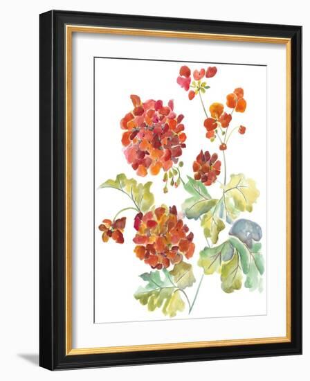 Cranesbills II-Chariklia Zarris-Framed Art Print