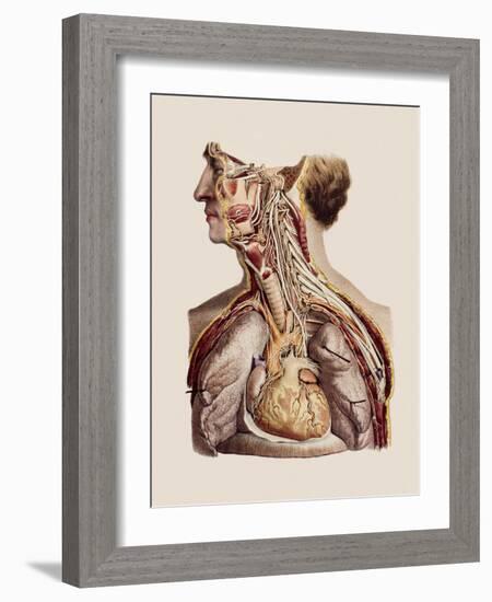 Cranial Nerves-Mehau Kulyk-Framed Photographic Print