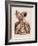 Cranial Nerves-Mehau Kulyk-Framed Photographic Print