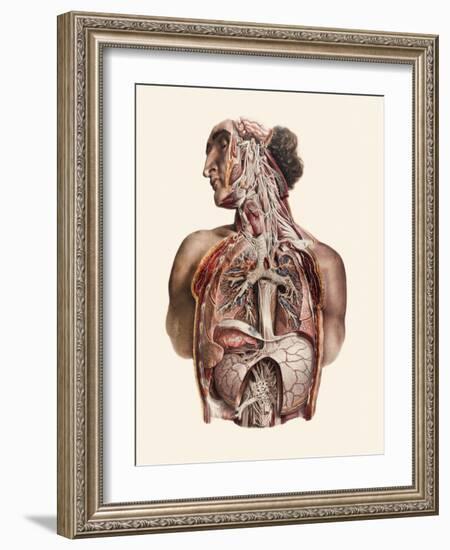 Cranial Nerves-Mehau Kulyk-Framed Photographic Print