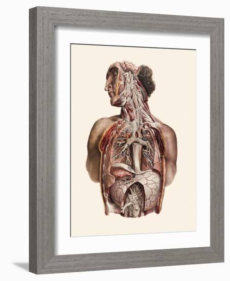 Cranial Nerves-Mehau Kulyk-Framed Photographic Print