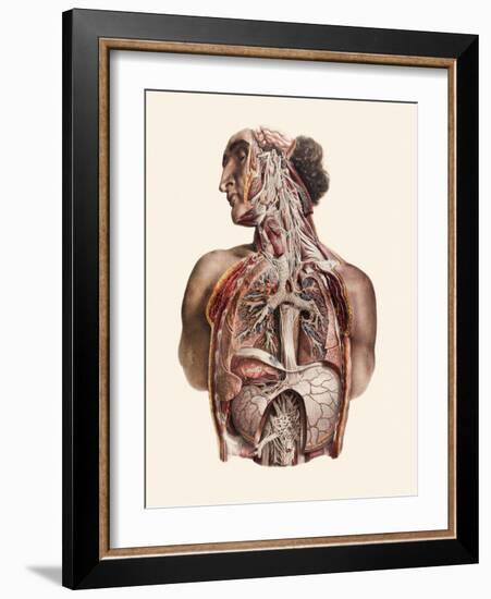 Cranial Nerves-Mehau Kulyk-Framed Photographic Print