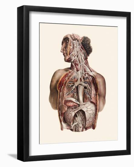 Cranial Nerves-Mehau Kulyk-Framed Photographic Print