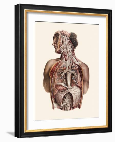 Cranial Nerves-Mehau Kulyk-Framed Photographic Print