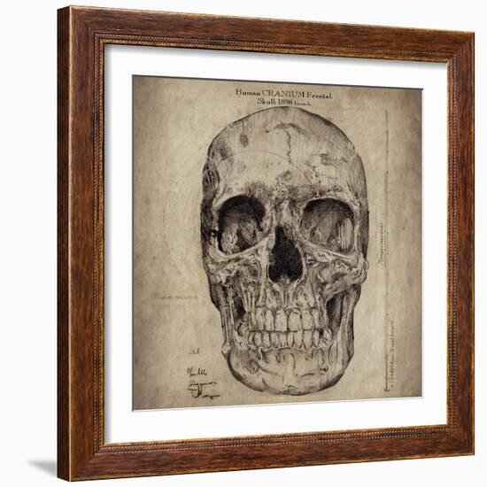 Cranium III-Sidney Paul & Co.-Framed Giclee Print