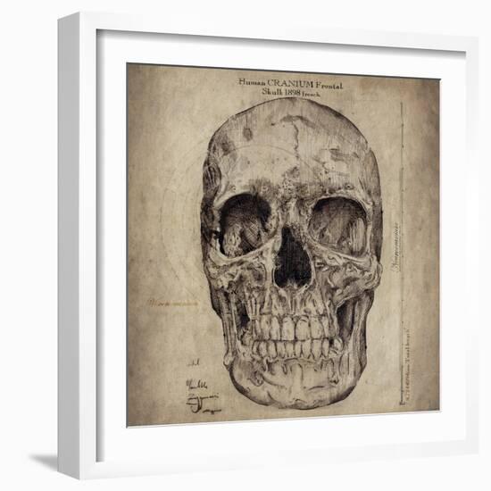 Cranium III-Sidney Paul & Co.-Framed Giclee Print