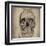 Cranium Illustration-Sidney Paul & Co.-Framed Art Print