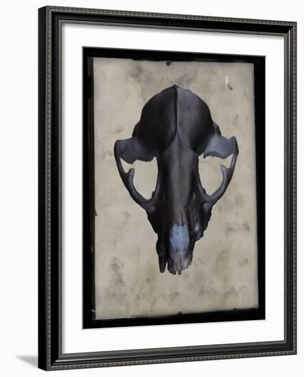 Cranium-Chris Dunker-Framed Giclee Print