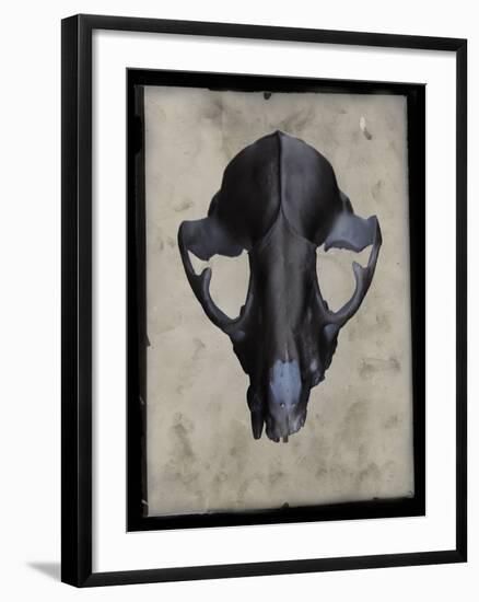 Cranium-Chris Dunker-Framed Giclee Print