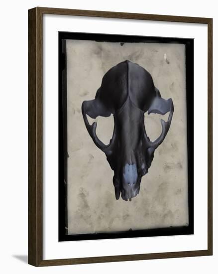 Cranium-Chris Dunker-Framed Giclee Print