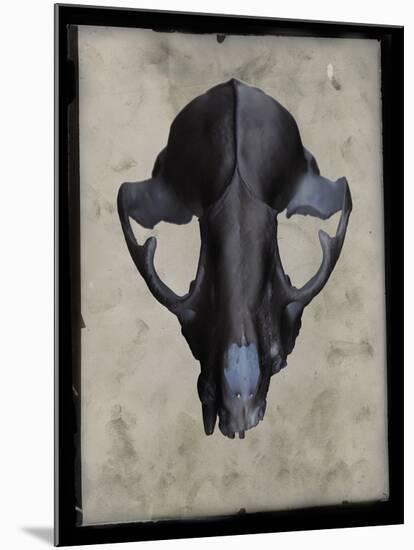 Cranium-Chris Dunker-Mounted Giclee Print