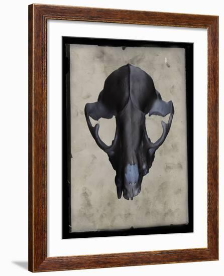 Cranium-Chris Dunker-Framed Giclee Print