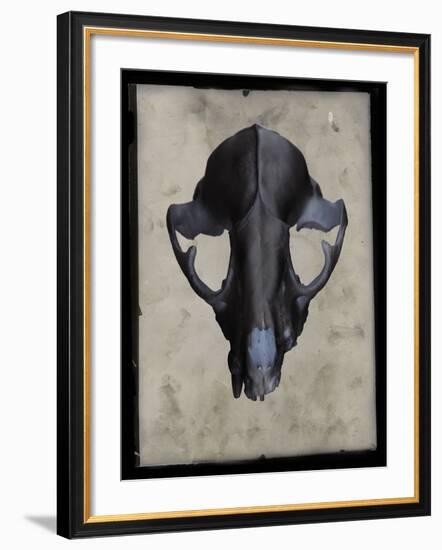 Cranium-Chris Dunker-Framed Giclee Print