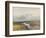 Cranmere Pool, Dartmoor , C.1895-96-Frederick John Widgery-Framed Giclee Print