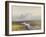 Cranmere Pool, Dartmoor , C.1895-96-Frederick John Widgery-Framed Giclee Print