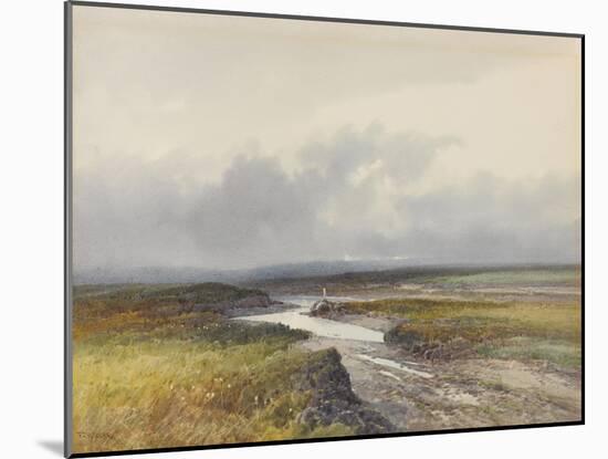 Cranmere Pool, Dartmoor , C.1895-96-Frederick John Widgery-Mounted Giclee Print